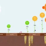 Kevin Casey 的头像