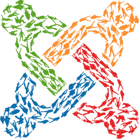 四年间隔 Joomal 发布 Joomla 2.5 为长期支持版