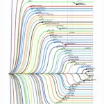 望星星降 的头像