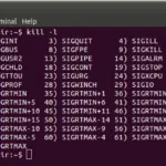 Veer Muchandi 的头像