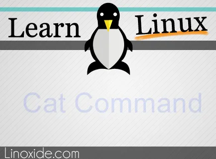 13个Cat命令管理(显示，排序，建立)文件实例