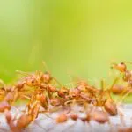 ddd8a539a959f6818006505053294d1c 的头像