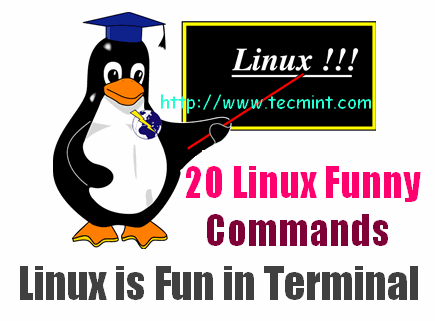 Linux命令及Linux终端的20个趣事