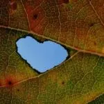 854eee50a38f292ed584704bc5fd96a6 的头像