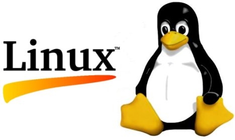 Linux slabtop命令——显示内核片缓存信息