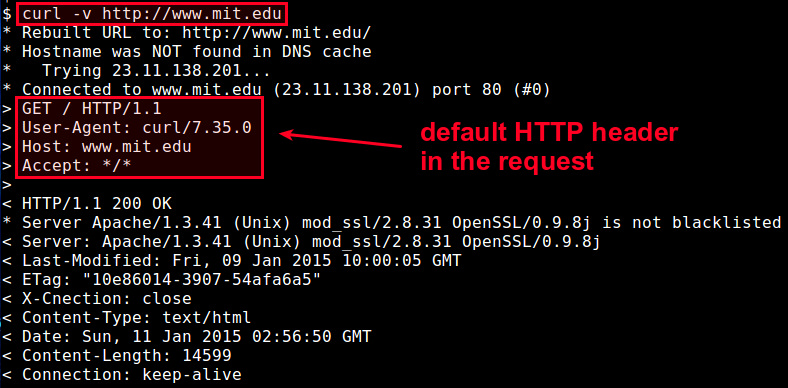 Linux有问必答：如何在curl中设置自定义的HTTP头