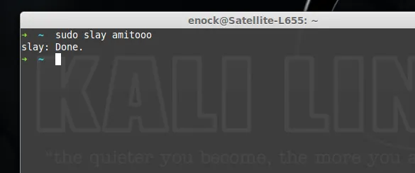 用‘slay’干掉某个用户的所有进程