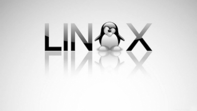 开源旧事：Linux为什么能成功？