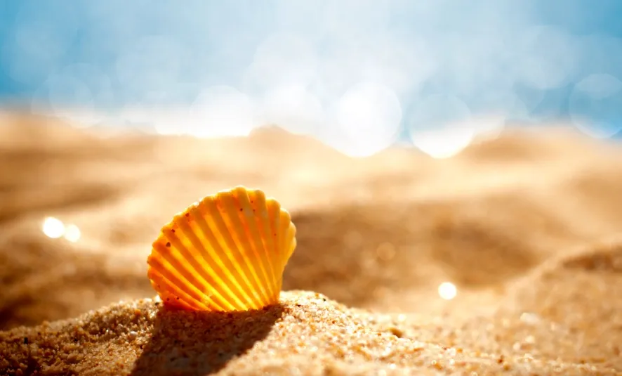 Linux 有问必答：如何知道当前正在使用的 shell 是哪个？