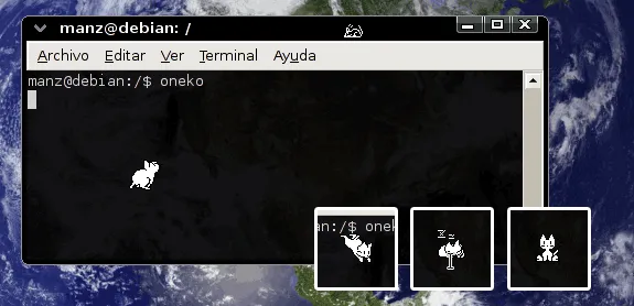 Linux/Unix 桌面趣事：桌面上追逐的猫和老鼠