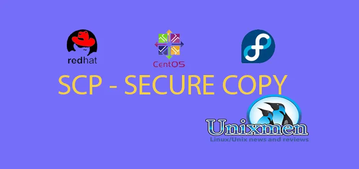 在 Linux 下使用 scp 命令