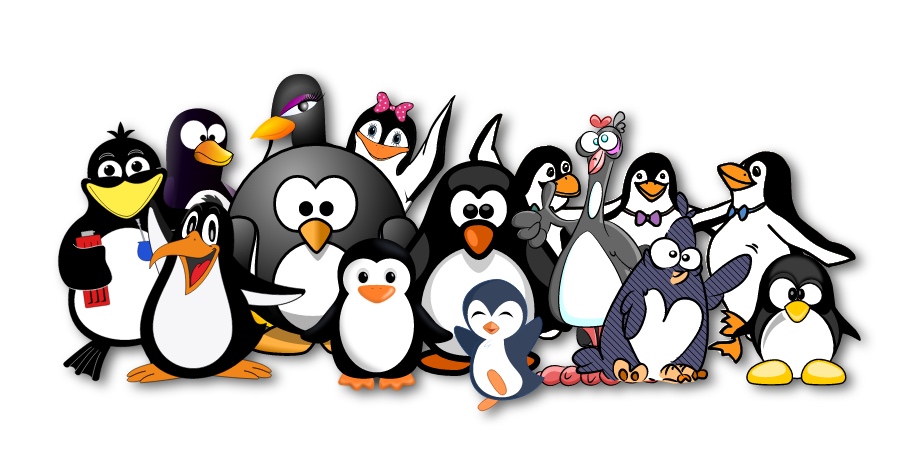 7 个 Linux 新手容易犯的错误