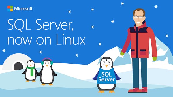 微软发布 Linux 下的 SQL Server 公众预览版