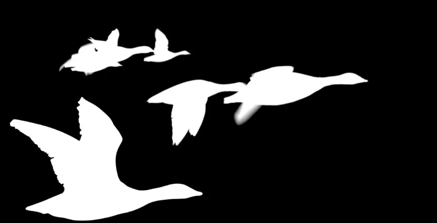 如何在 Shell 脚本中跟踪调试命令的执行