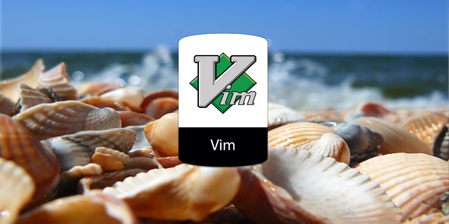 如何从 Vim 中访问 shell 或者运行外部命令