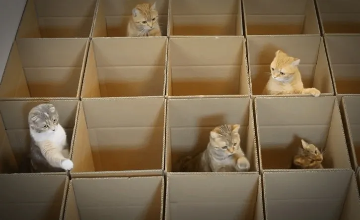 ELRepo – Enterprise Linux （RHEL、CentOS 及 SL）的社区仓库