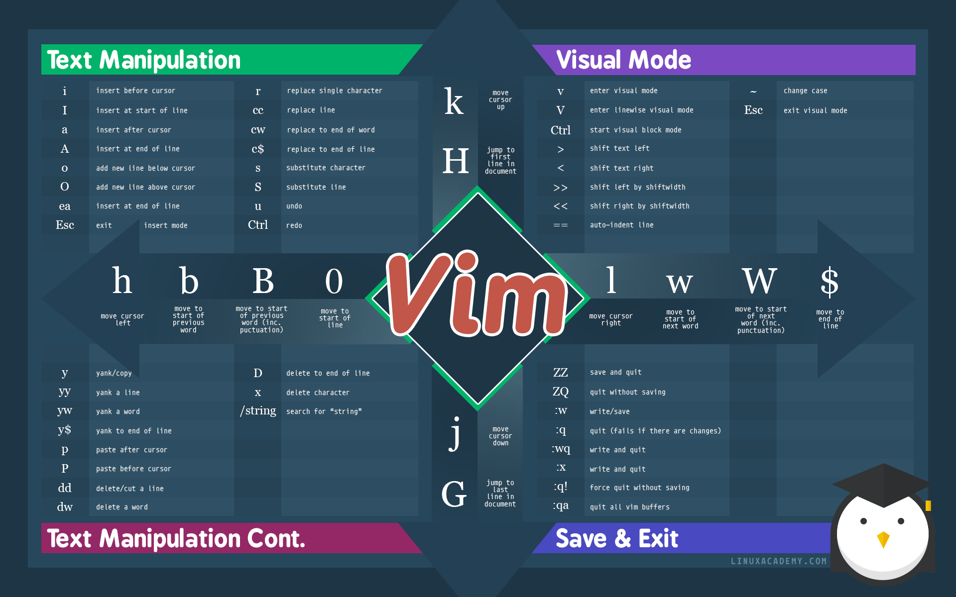 如何在 Vim 中进行文本选择操作和使用标志