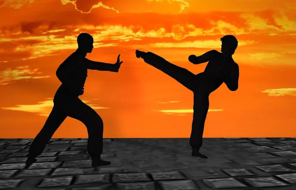 Cyber​​Shaolin：培养下一代网络安全专家