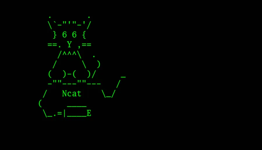 10 个例子教你学会 ncat (nc) 命令