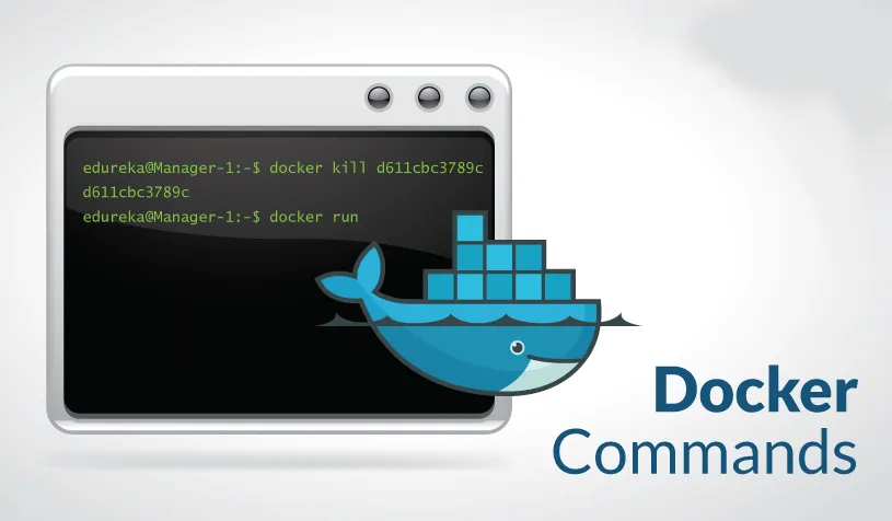 为小白准备的重要 Docker 命令说明