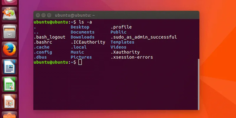 我的 Linux 主目录中的隐藏文件是干什么用的？