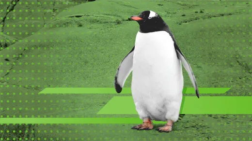 Linux 如何成为我的工作