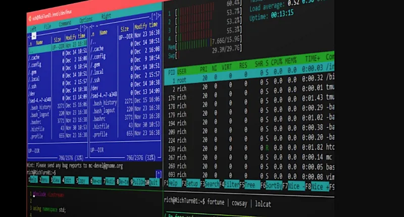 如何像 Linux 专家那样使用 WSL
