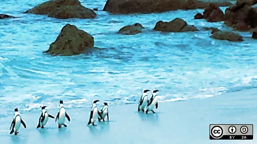 Scrot：让你在命令行中进行截屏更加简单