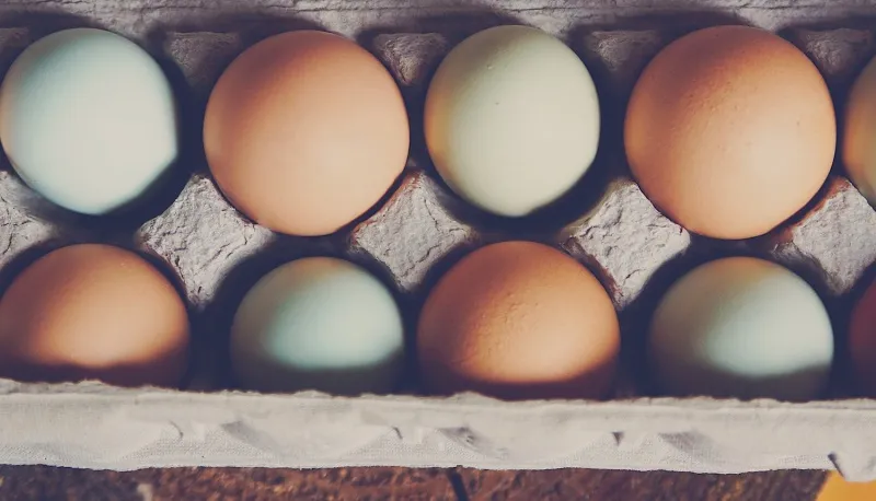 命令别名：定义自己的命令