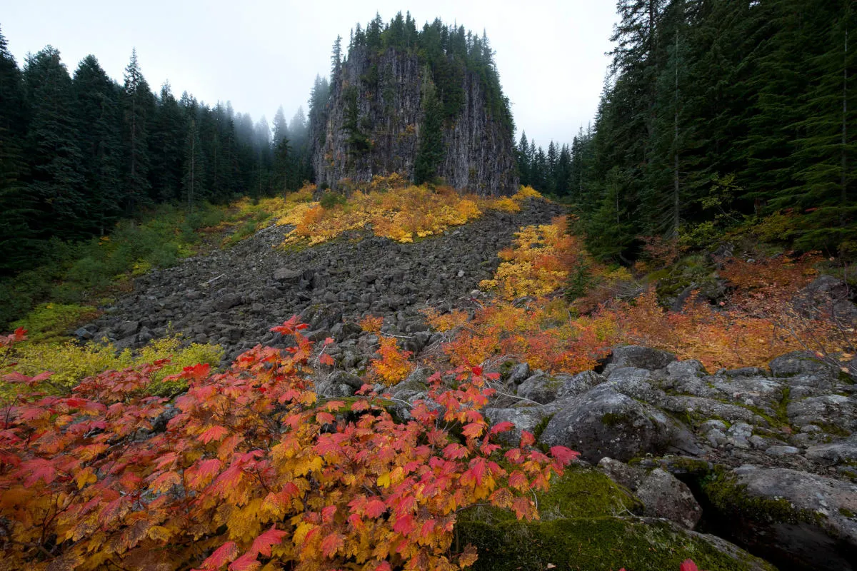 如何管理你的 Linux 环境变量