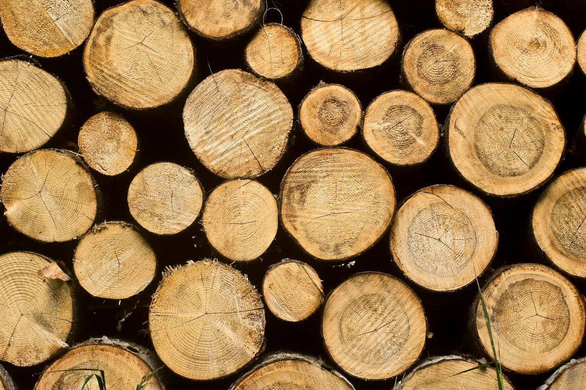 如何在 Linux 中管理日志