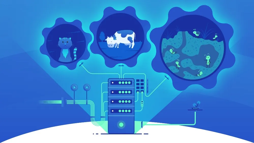 DevOps 专业人员如何成为网络安全拥护者