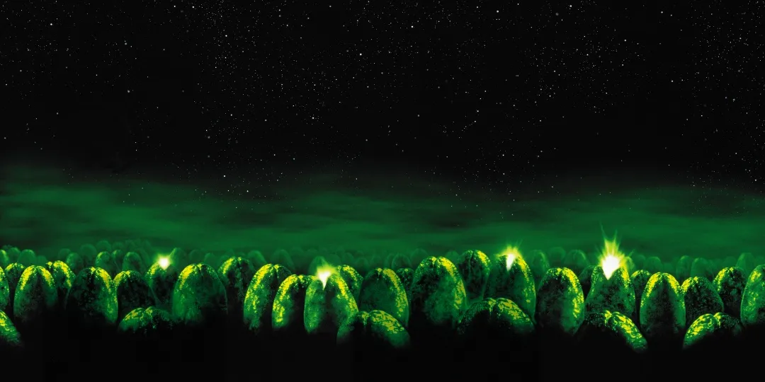 Kubernetes 命名空间入门