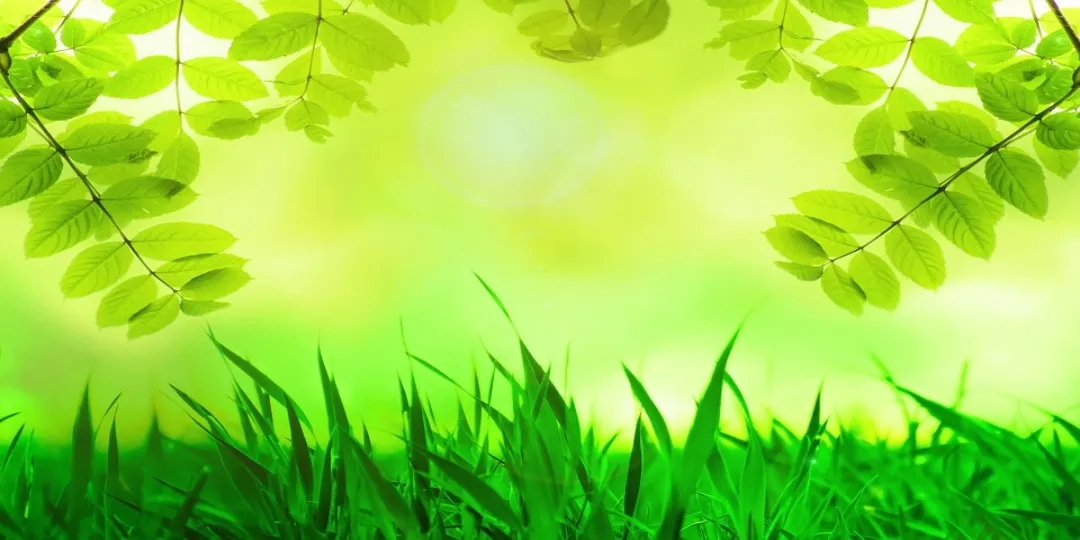 使用这个 Python 程序记录你的活动