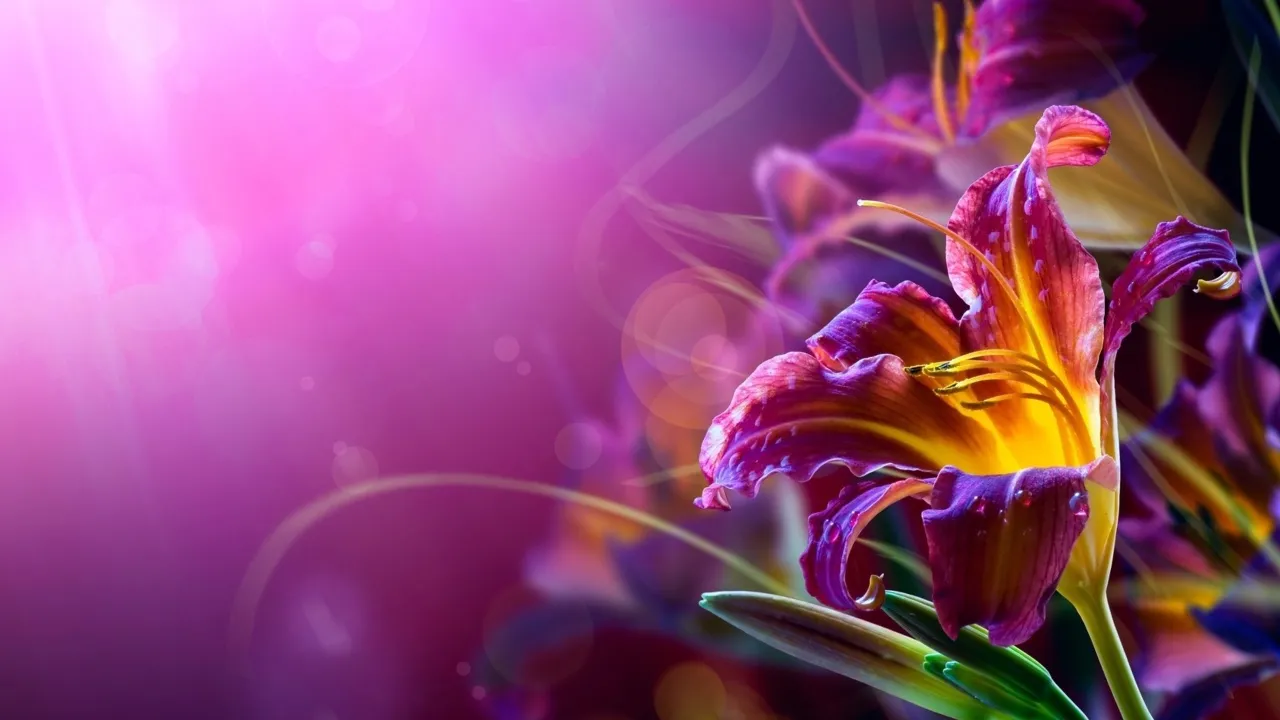 新闻速读 > 外媒推荐 2020 年最佳安卓手机，华为没有在列