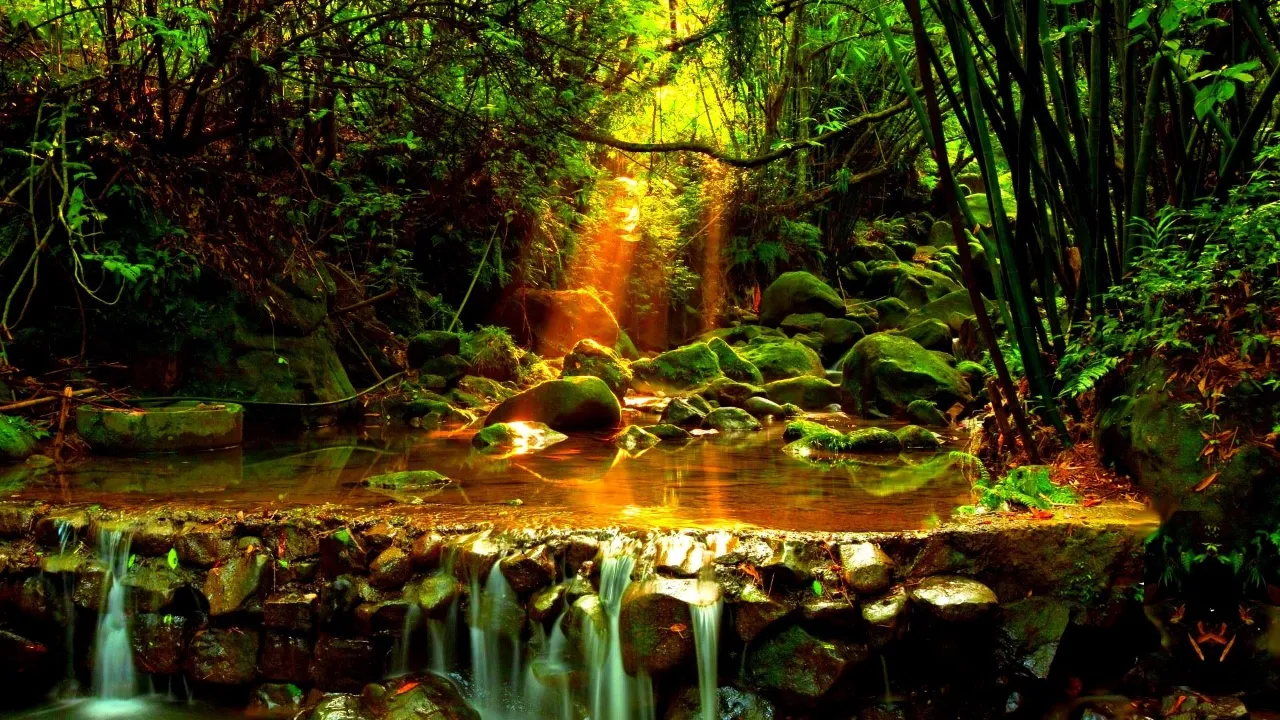 #新闻拍一拍# 适用于 Linux 的微软反病毒软件 Microsoft Defender ATP 正式上线