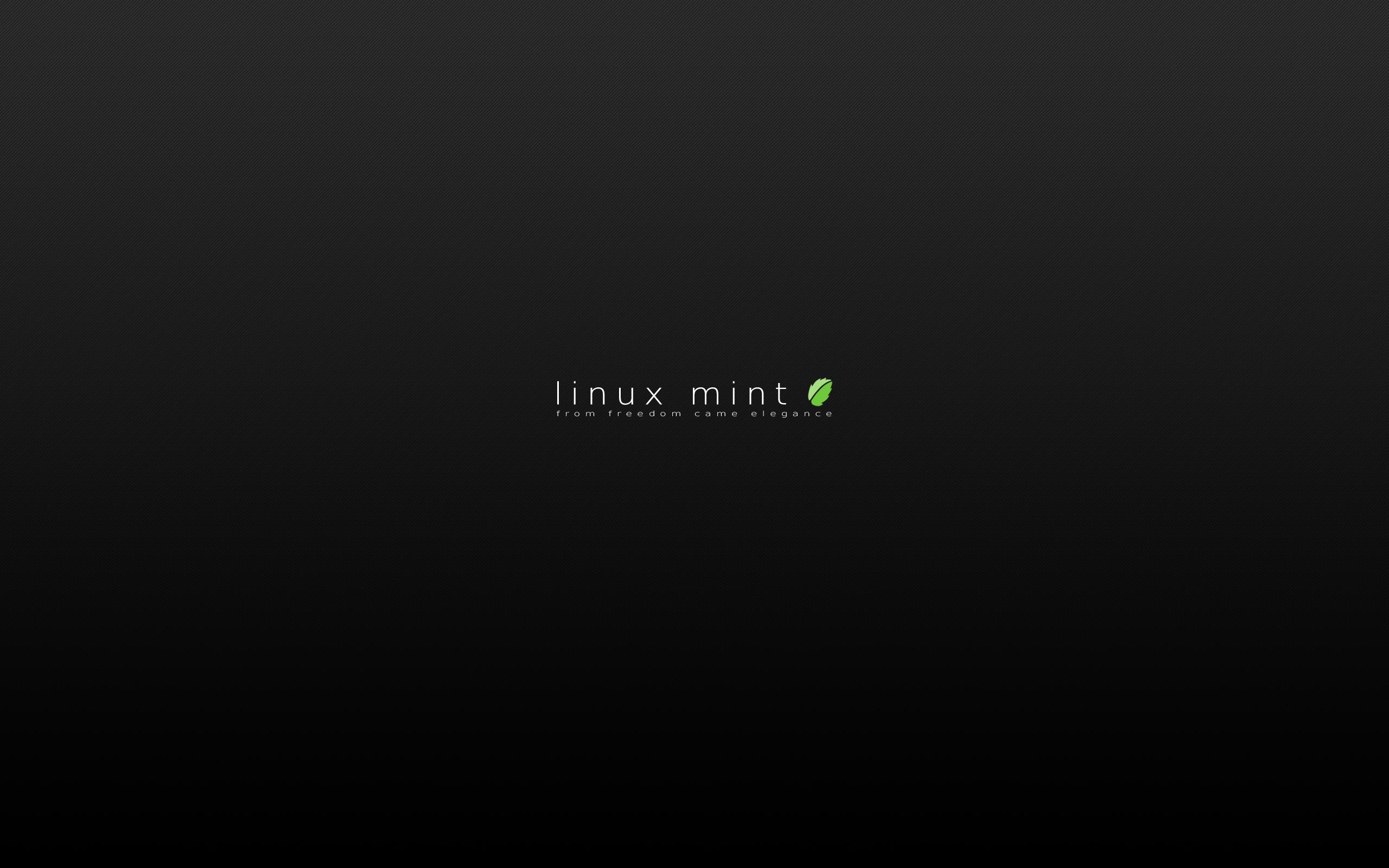 安装 Linux Mint 20 后需要做的 13 件事