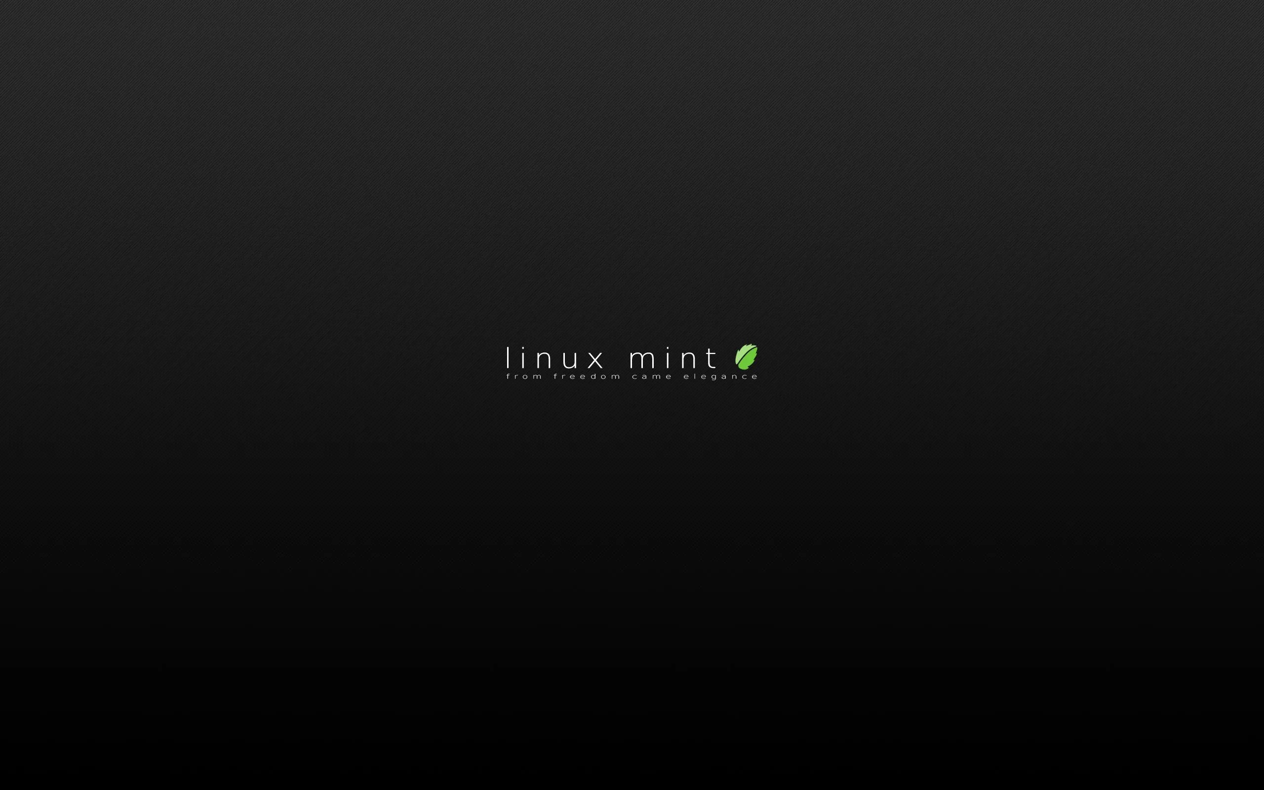 安装 Linux Mint 20 后需要做的 13 件事