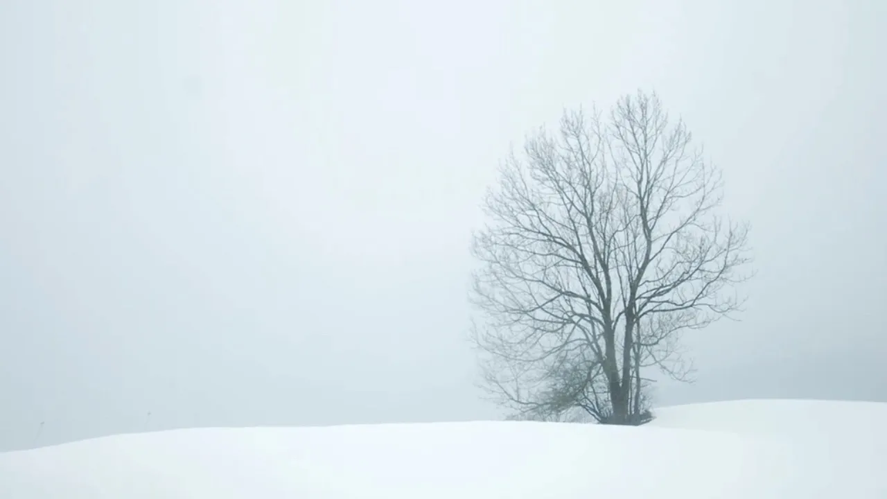 #新闻拍一拍# Facebook 将 Windows 版 PyTorch 的开发维护权移交给微软