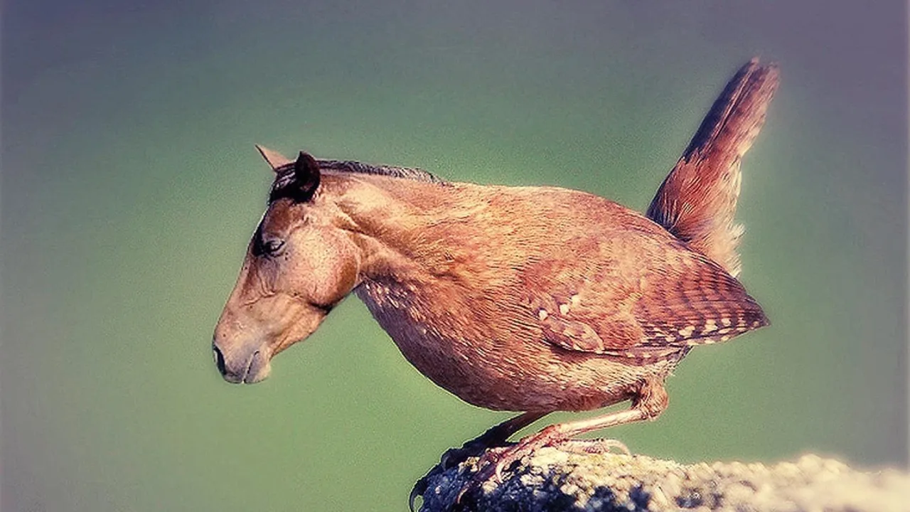 Python 突变测试介绍