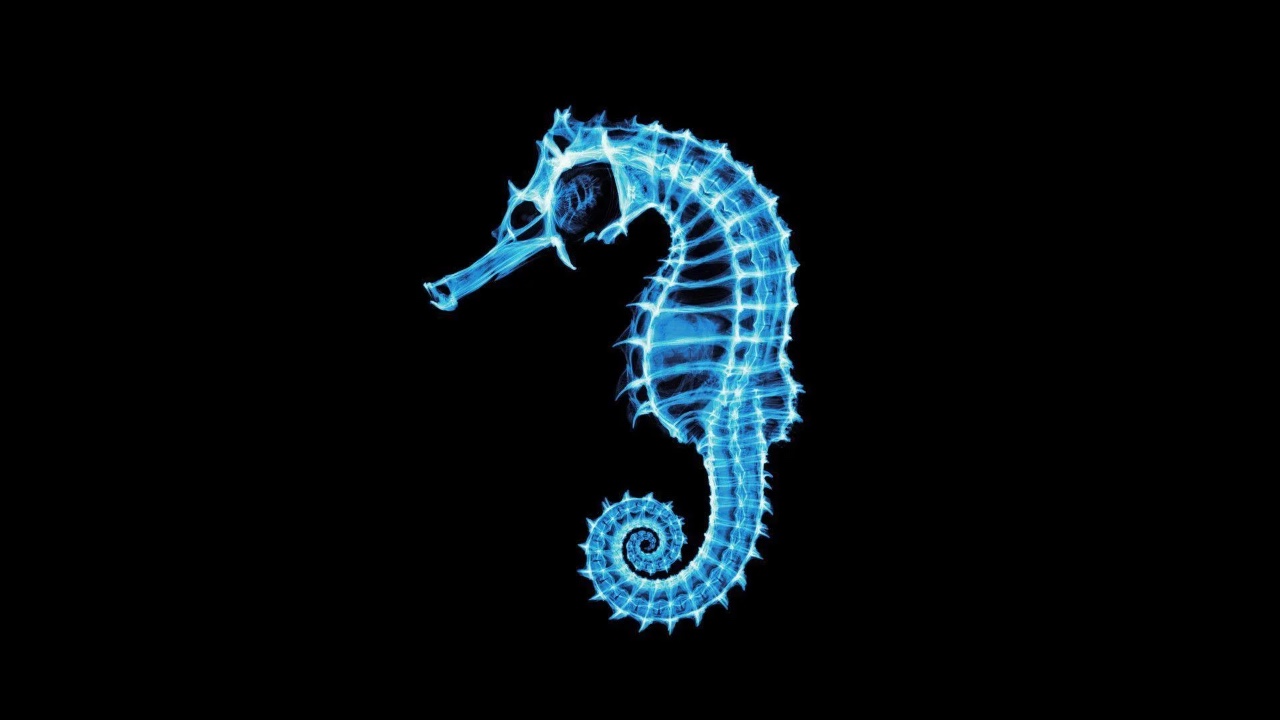 Seahorse：在 Linux 中管理你的密码和加密密钥