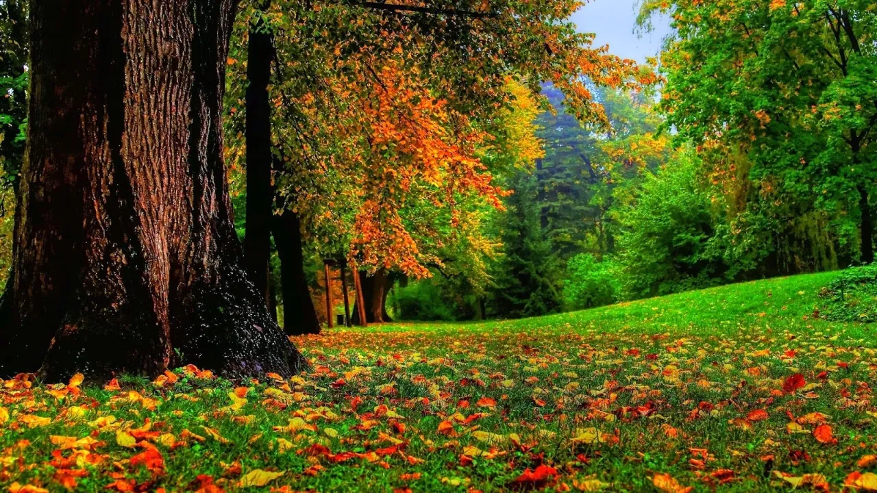 入门：如何更改 Ubuntu 的终端的字体和大小