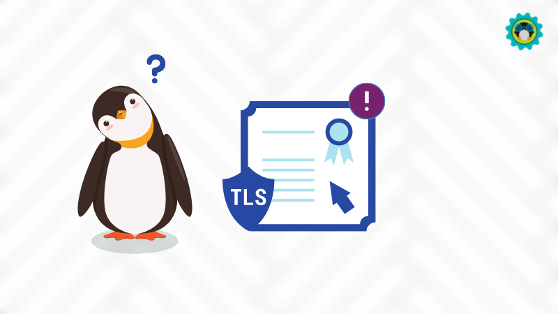 在 Linux 中解决 “Unacceptable TLS certificate” 的问题