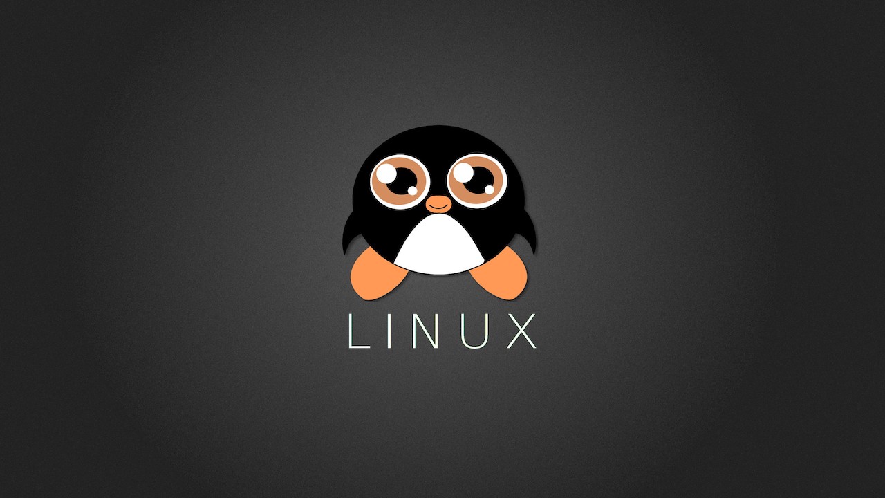 12 个对新手最重要的 Linux 命令