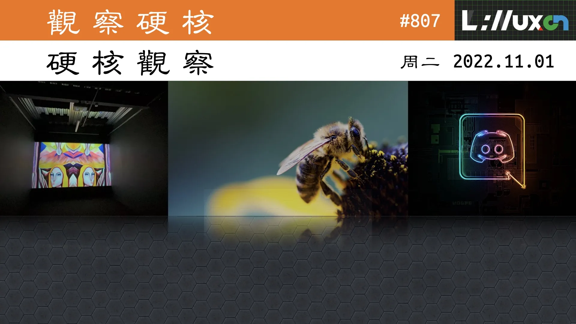 硬核观察 #807 利用 AI 对动物进行剥削