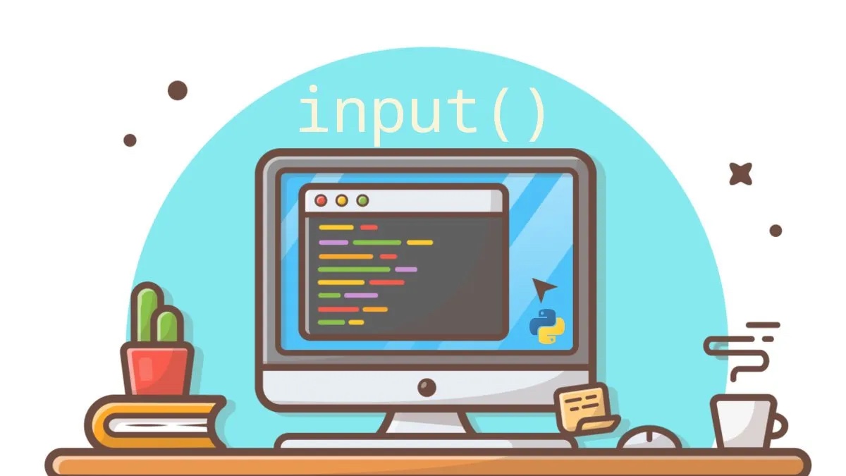 Python 中的输入函数：概念和示例