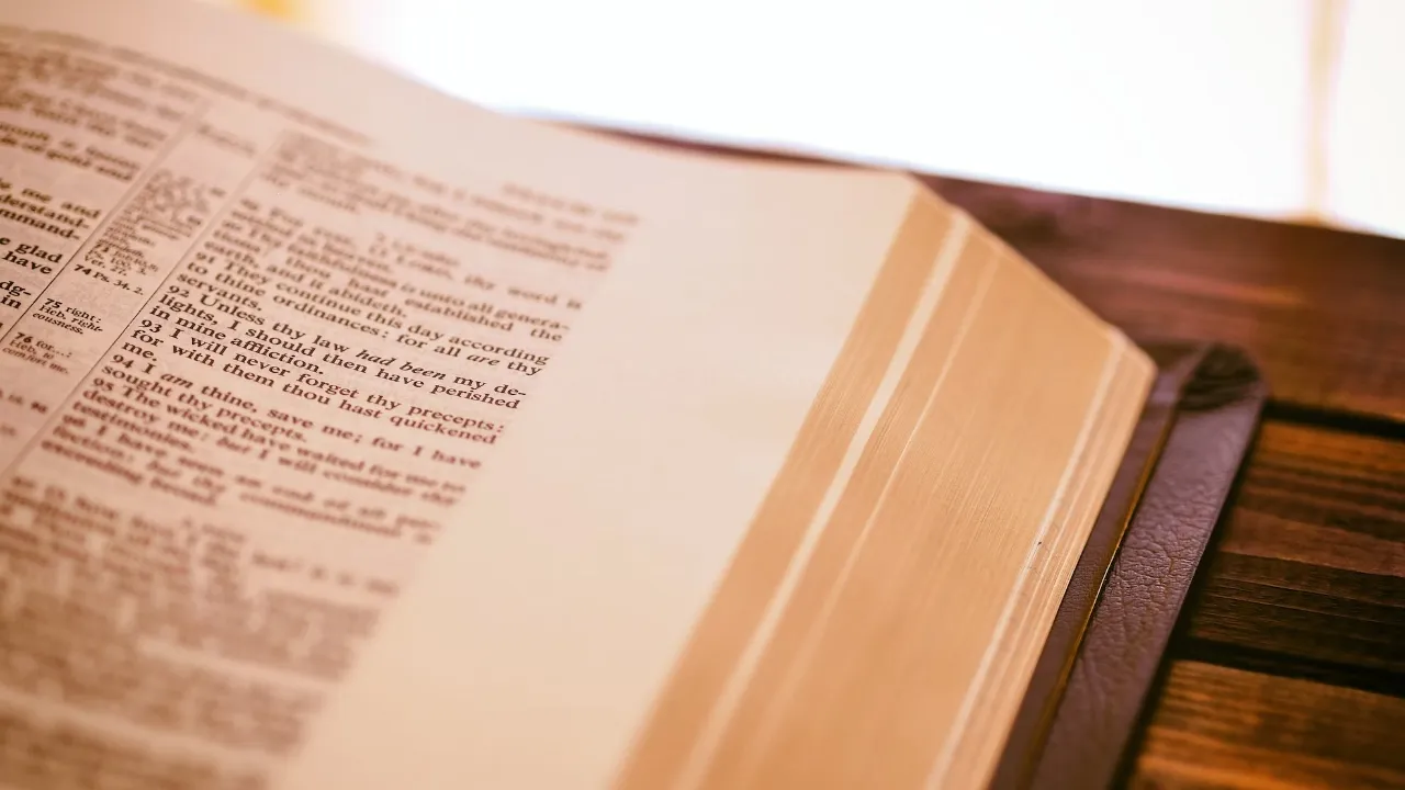 在 Linux 命令行上使用 dict 文字工具