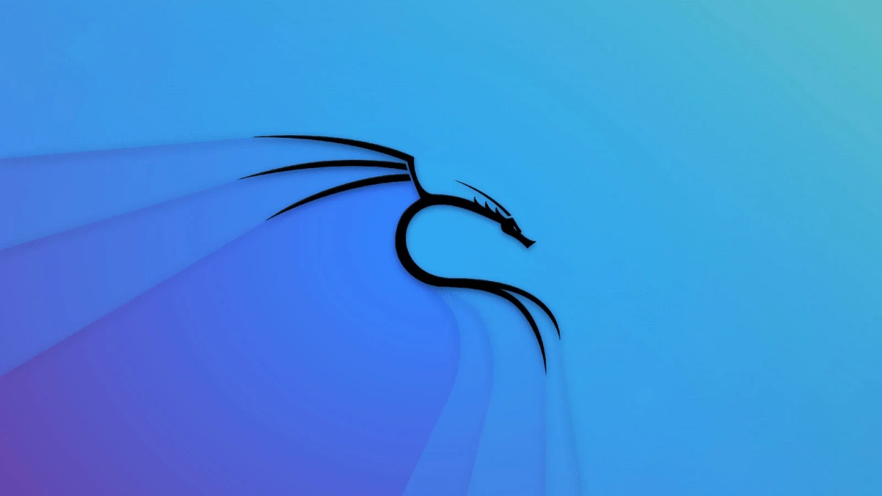 Kali Linux 简介：你需要了解的一切