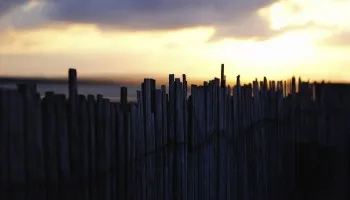 Untitled | Garazi Unzueta