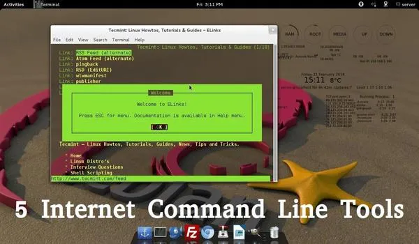 5 Command Line Internet Tools